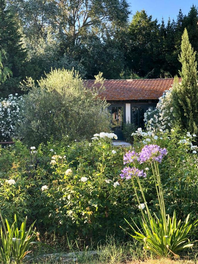 Mas De Caustes Bed & Breakfast Saint-Remy-de-Provence